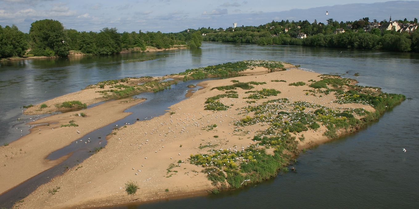 Loire © Nicolas Macaire